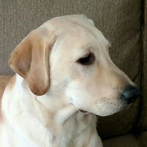 Meet your Posher, Jeffrey